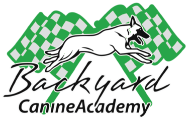 Backyardcanineshop