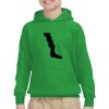 Youth Heavy Blend™ Hooded Sweatshirt Thumbnail